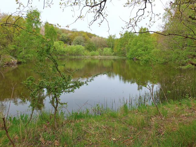 Skærmbillede 2015-06-02 kl. 23.22.22