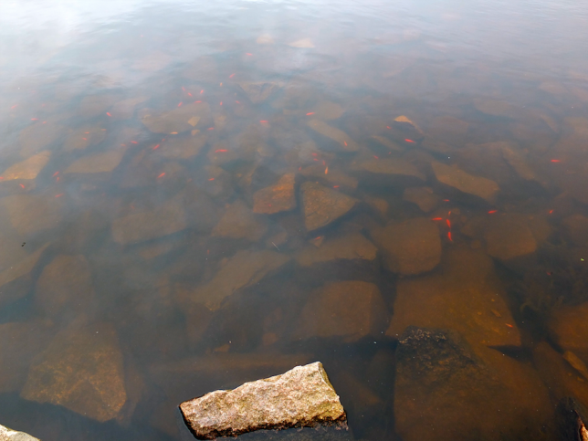Skærmbillede 2015-06-02 kl. 23.23.55