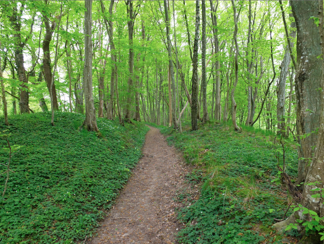 Skærmbillede 2015-06-02 kl. 23.32.48